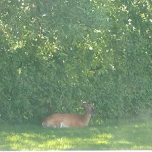 Meet your Posher, Erik